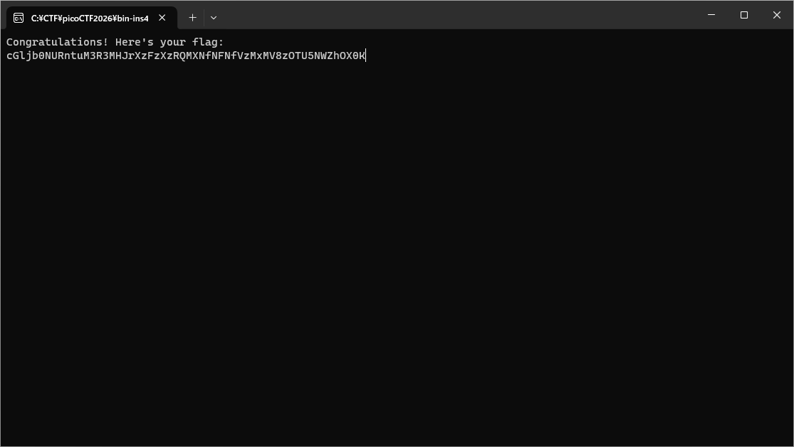 Binary Instrumentation 4